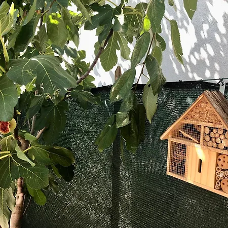 Due Mori 게스트하우스