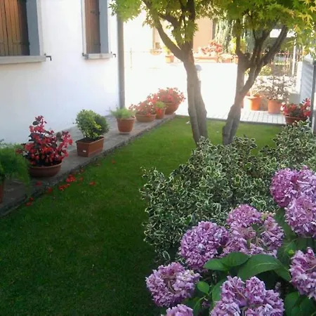 阿菲特卡都莫利酒店 蒙瑟里奇