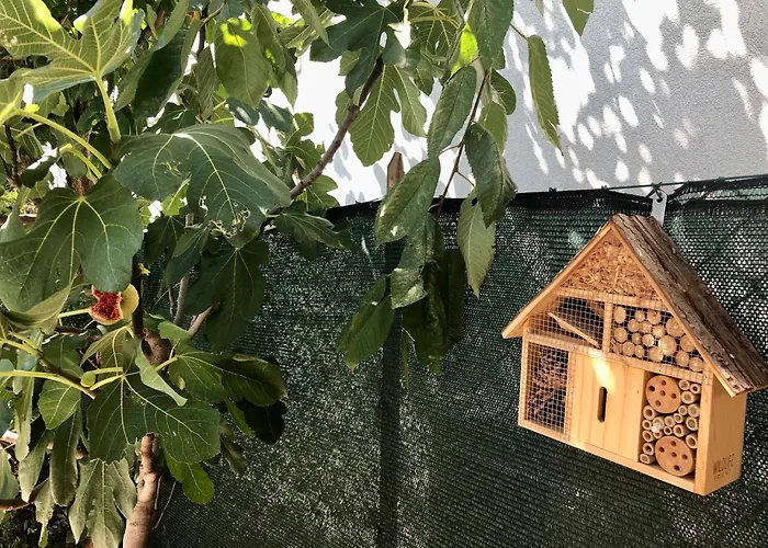 Due Mori Guest house